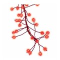 Holiday Bright Lights Holiday Bright Lights 266728 Christmas Micro Cluster Big Seed 216 LED Light Set; Red 266728